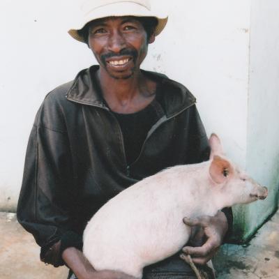 Donne ton porc madagascar