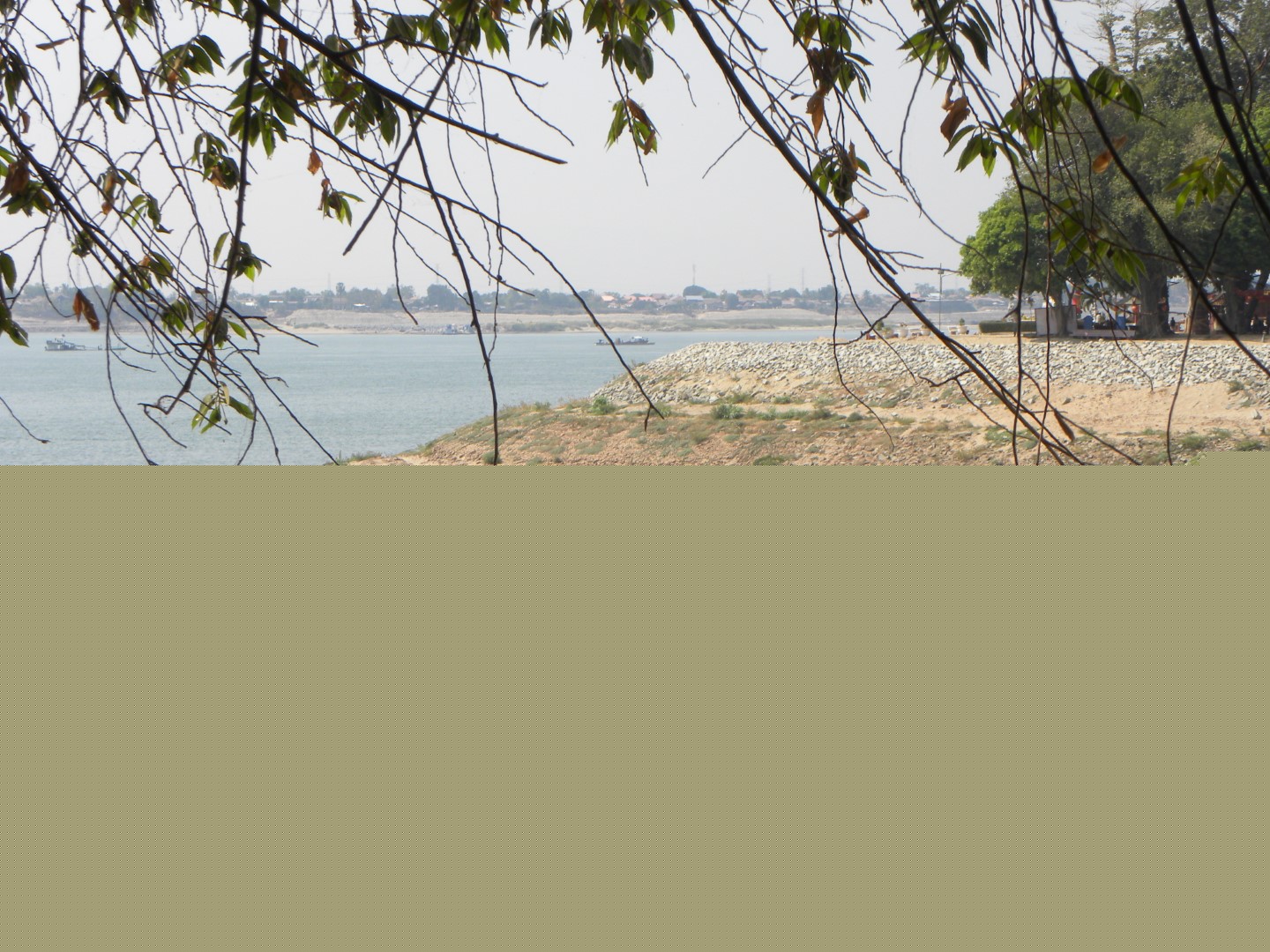 DSCN5936 (Grand)