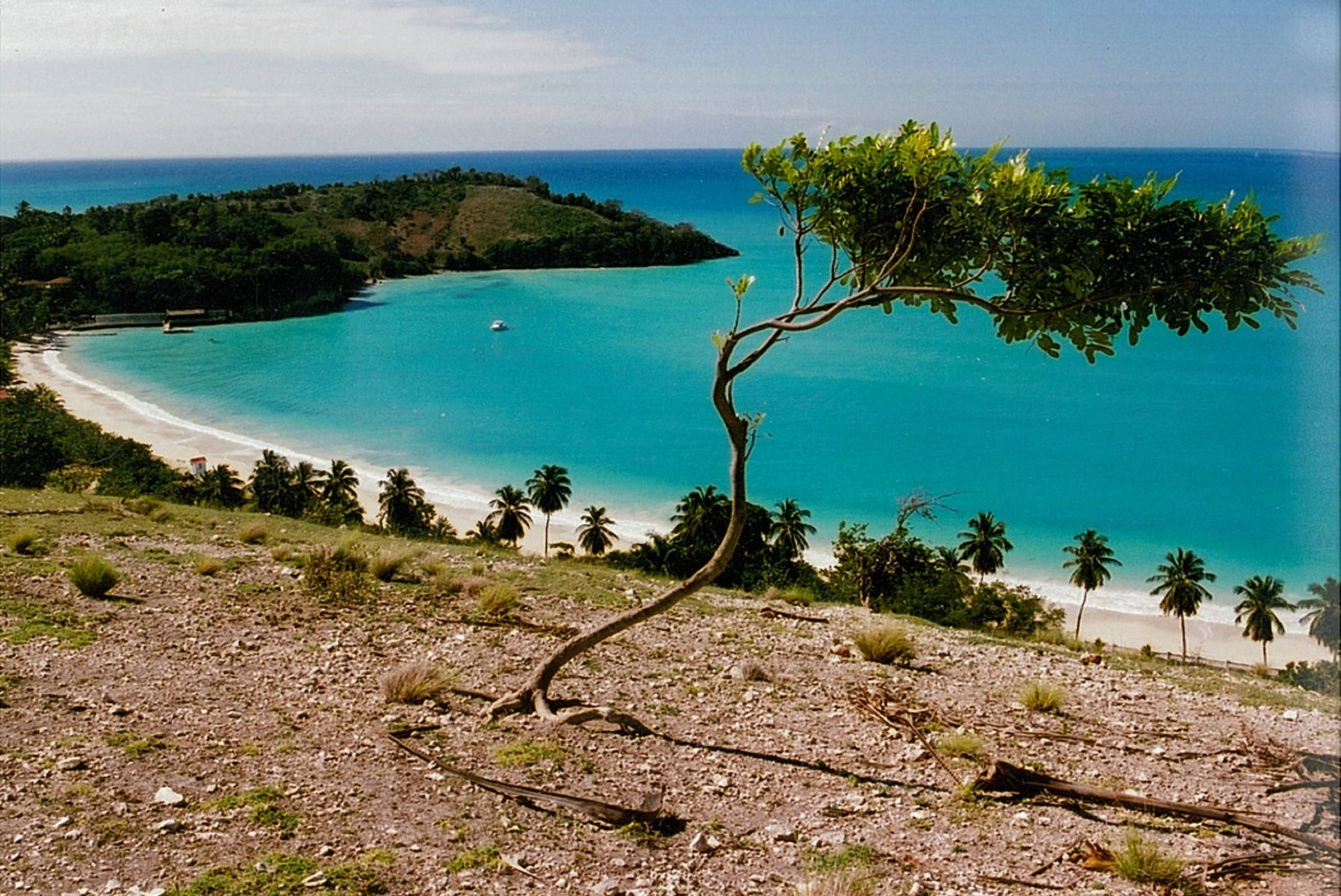 Paradis caraibes