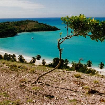 Paradis caraibes