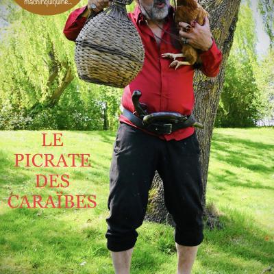 Pirate des caraibes