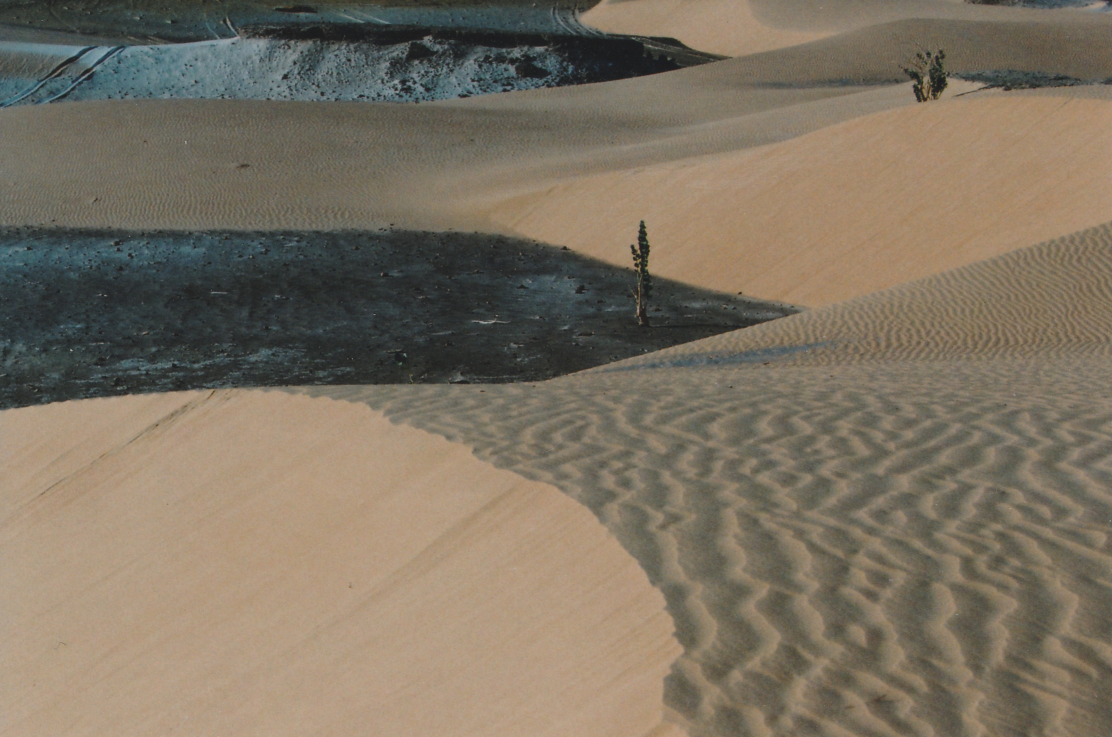 Sahara mauritanien seules