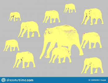 Elephants jaunes