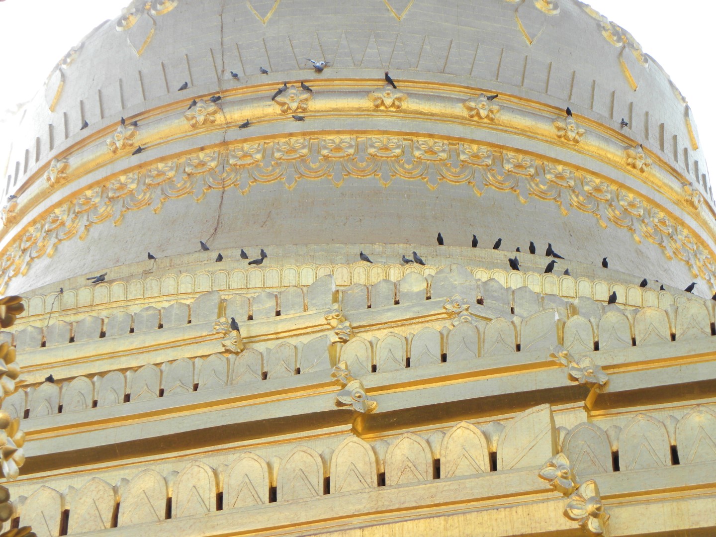 DSCN0567 (Grand)
