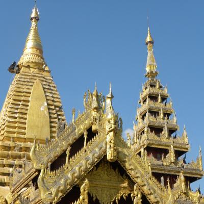 DSCN0589 (Grand)