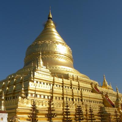DSCN0614 (Grand)