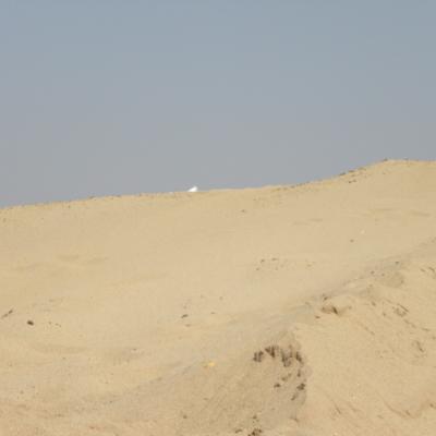 DSCN5934 (Grand)