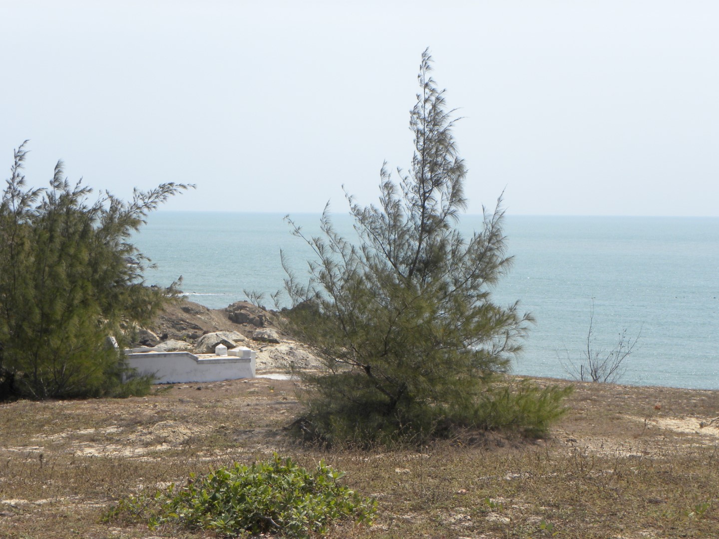 DSCN7124 (Grand)