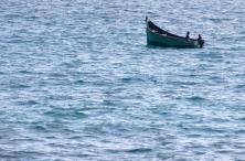 Barque migrant