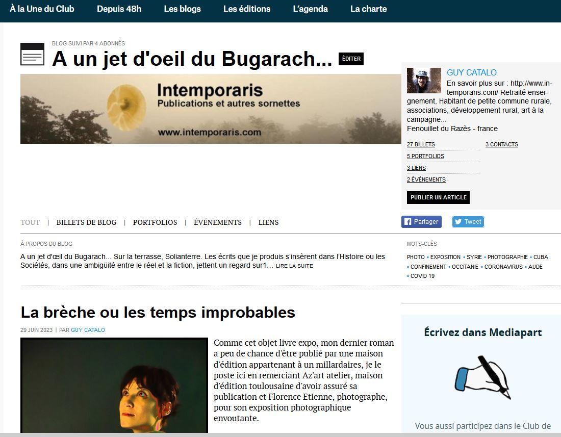 Blog mediapart capture