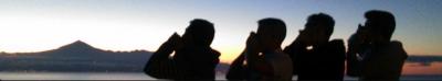 Capture gomera