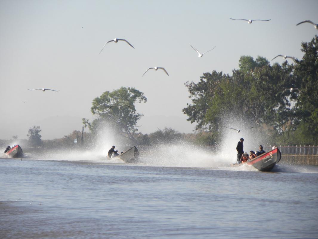 Course de pirogues grand