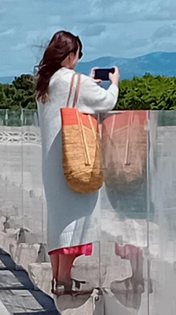 Dama au sac
