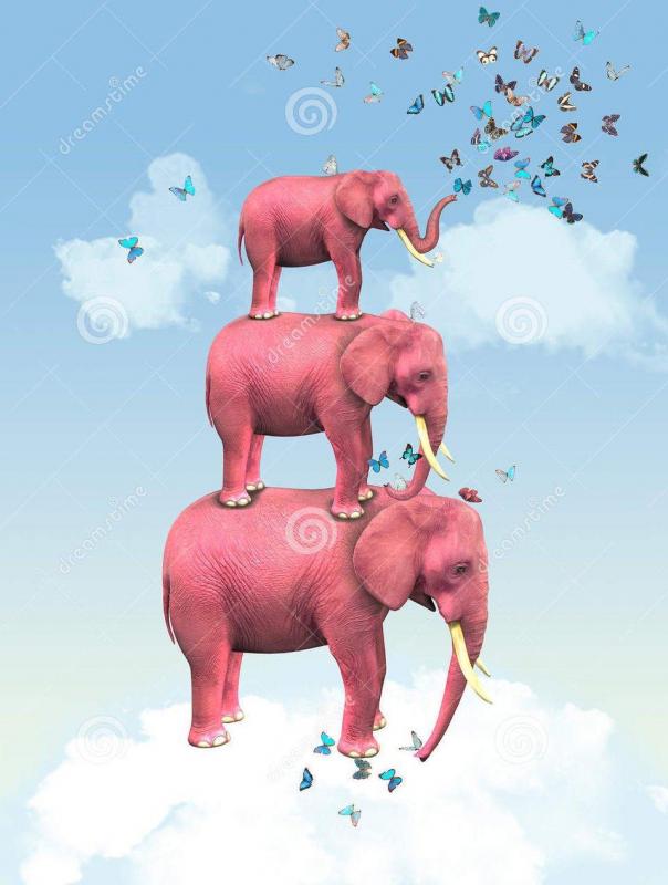 Elephant papillon