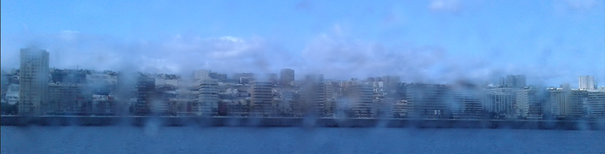 Las palmas