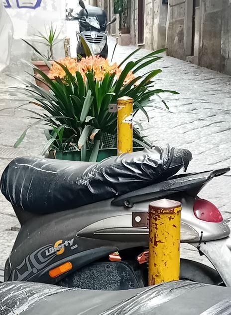 Scooter naples