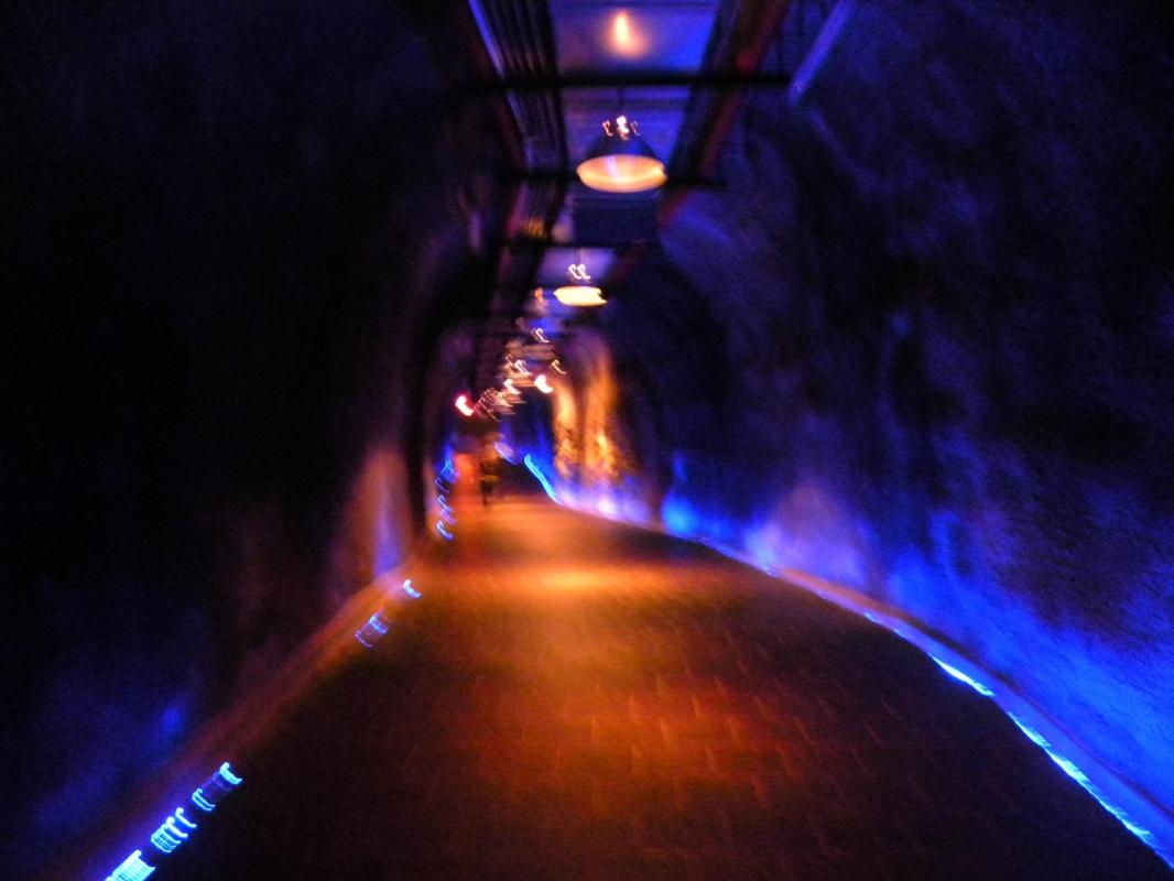 Tunnel